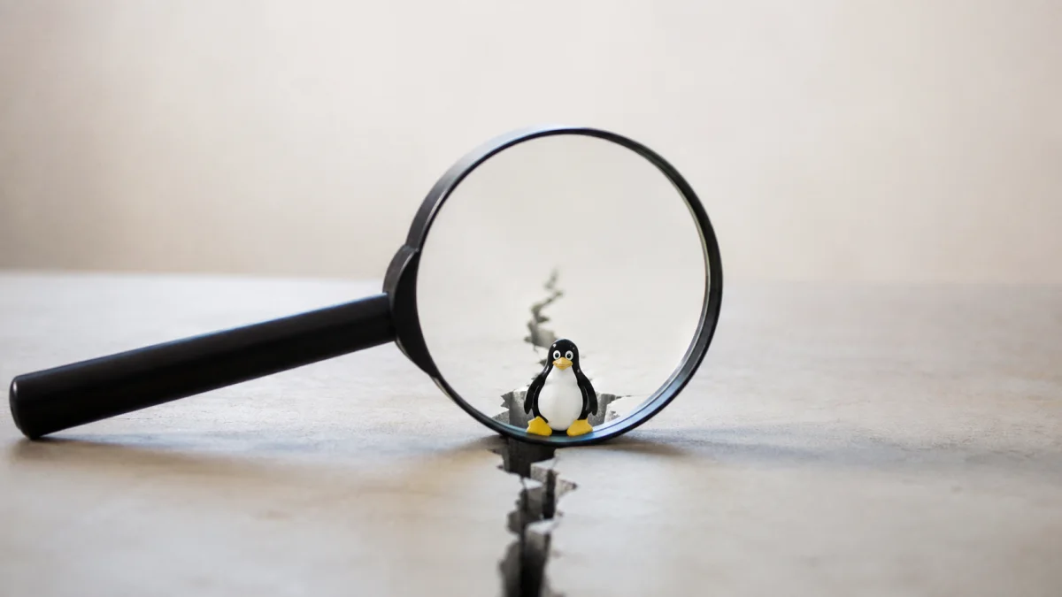 Claude Code Digs Up a 23-Year-Old Linux Vulnerability