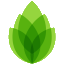 Asparagus AI Teleprompter icon